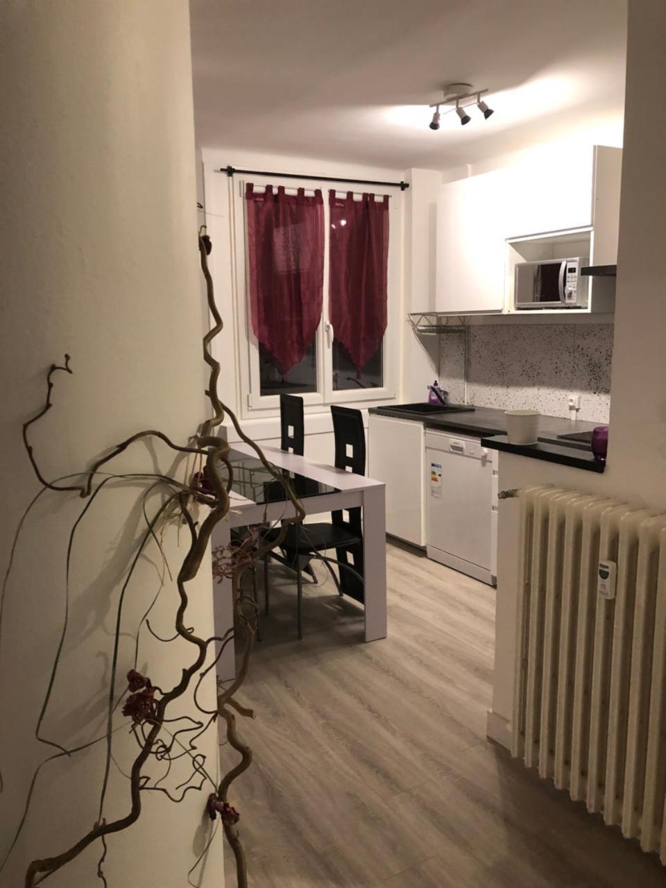 Dupuy T3 Aseptise Daire Toulouse Dış mekan fotoğraf
